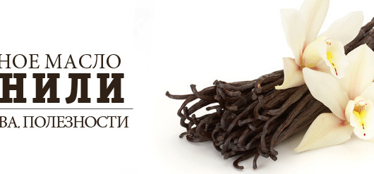 ваниль свойства
