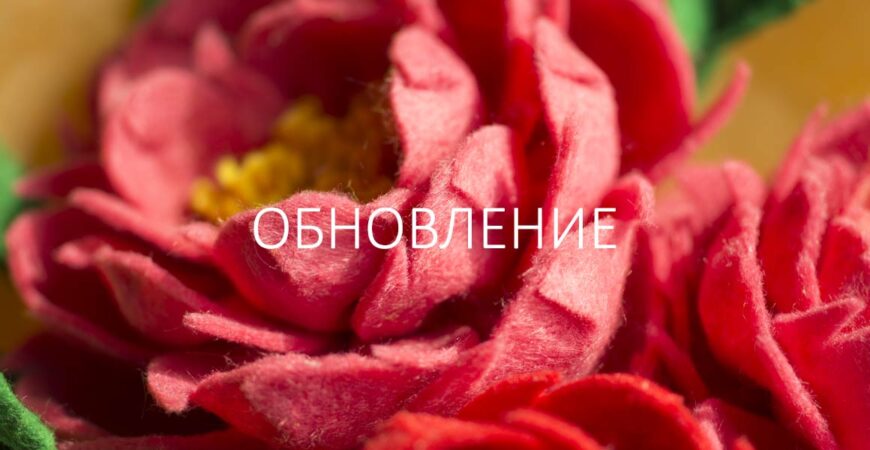 Обновление на сайте